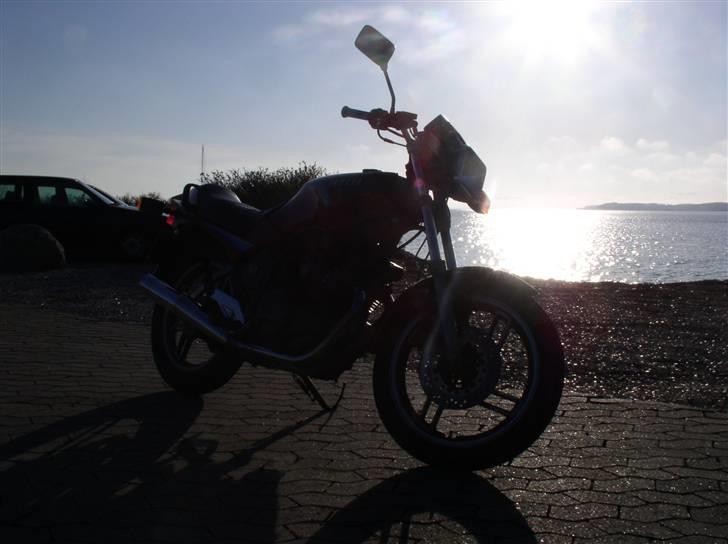 Yamaha XS 400 Seca billede 11