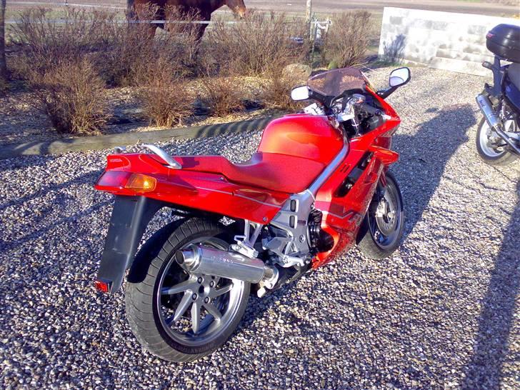 Honda VFR 750 F (Solgt) - Lige taget af traileren hjemme i DK billede 1