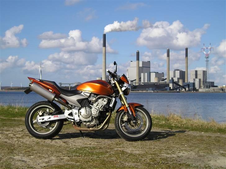 Honda 600 Hornet "SOLGT" billede 2