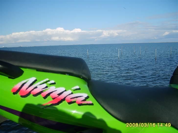 Kawasaki zx9r *Solgt* billede 13