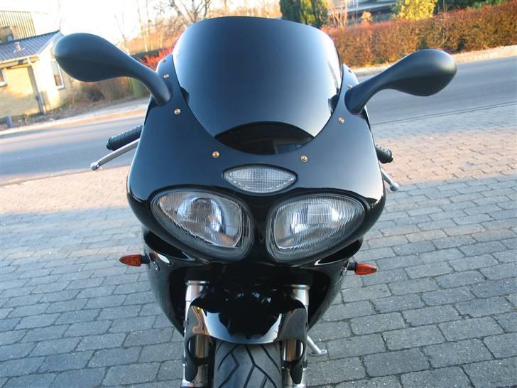 Triumph Daytona 955I - Fronten med det sorte kåbeglas billede 2