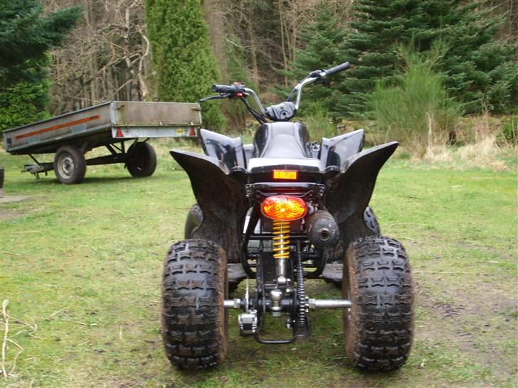 She-Lung Zhongyu ATV billede 3