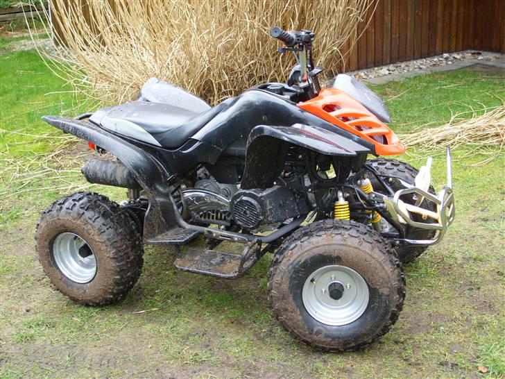 She-Lung Zhongyu ATV billede 4