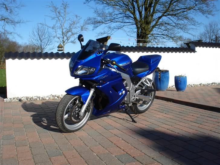 Suzuki SV 650s (Skjern) billede 2