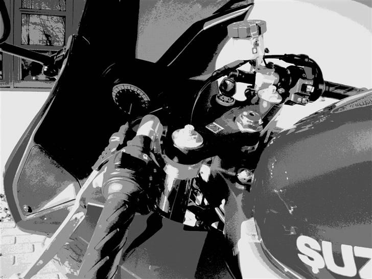 Suzuki SV 650s (Skjern) billede 6