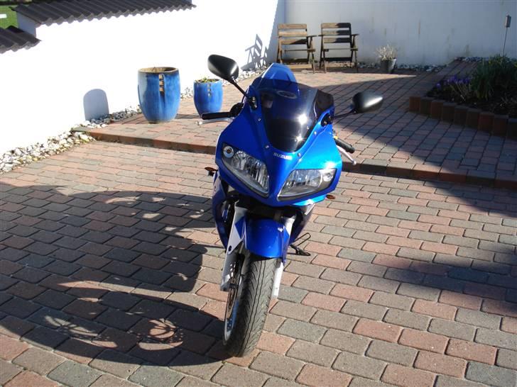 Suzuki SV 650s (Skjern) billede 7