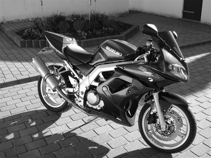 Suzuki SV 650s (Skjern) billede 10