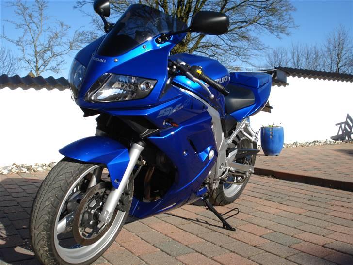 Suzuki SV 650s (Skjern) billede 11