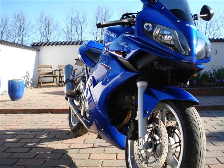Suzuki SV 650s (Skjern) billede 12