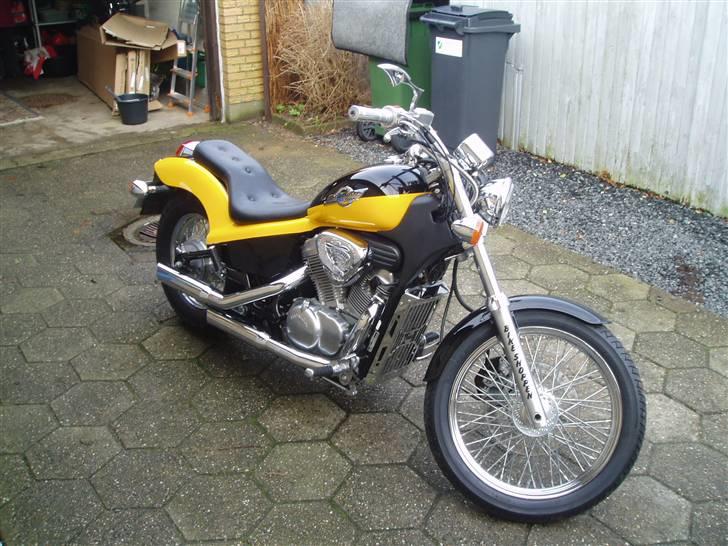 Honda  shadow Humlebien billede 2