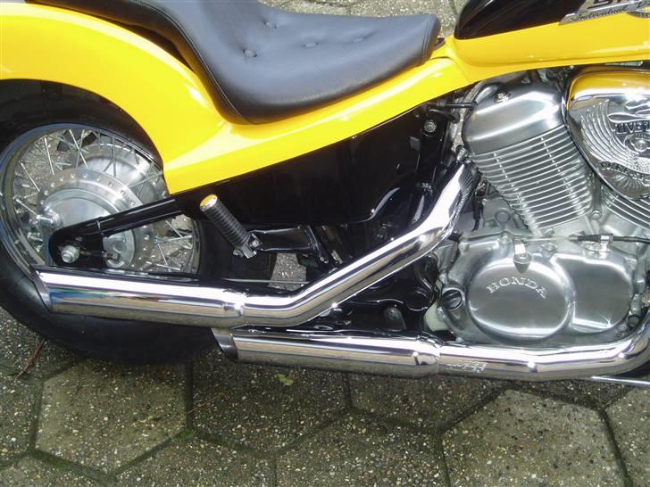Honda  shadow Humlebien billede 4