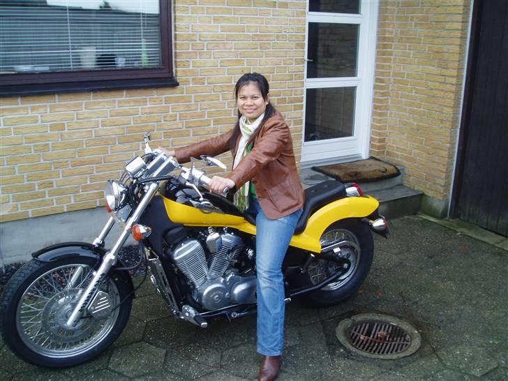 Honda  shadow Humlebien billede 6