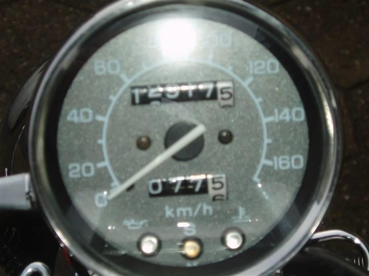 Honda  shadow Humlebien billede 9