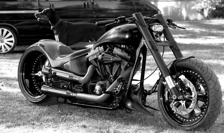 Harley Davidson Satori Bike - Satori bike billede 4