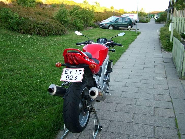 Suzuki SV1000 [SOLGT] billede 1