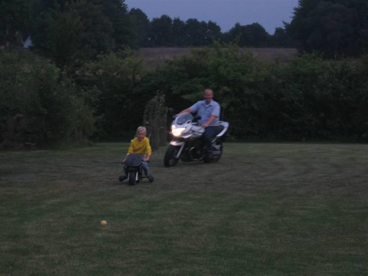 Suzuki 650 Bandit S {skrottet} - Hellere stor og hurtig end lille og langsom billede 14