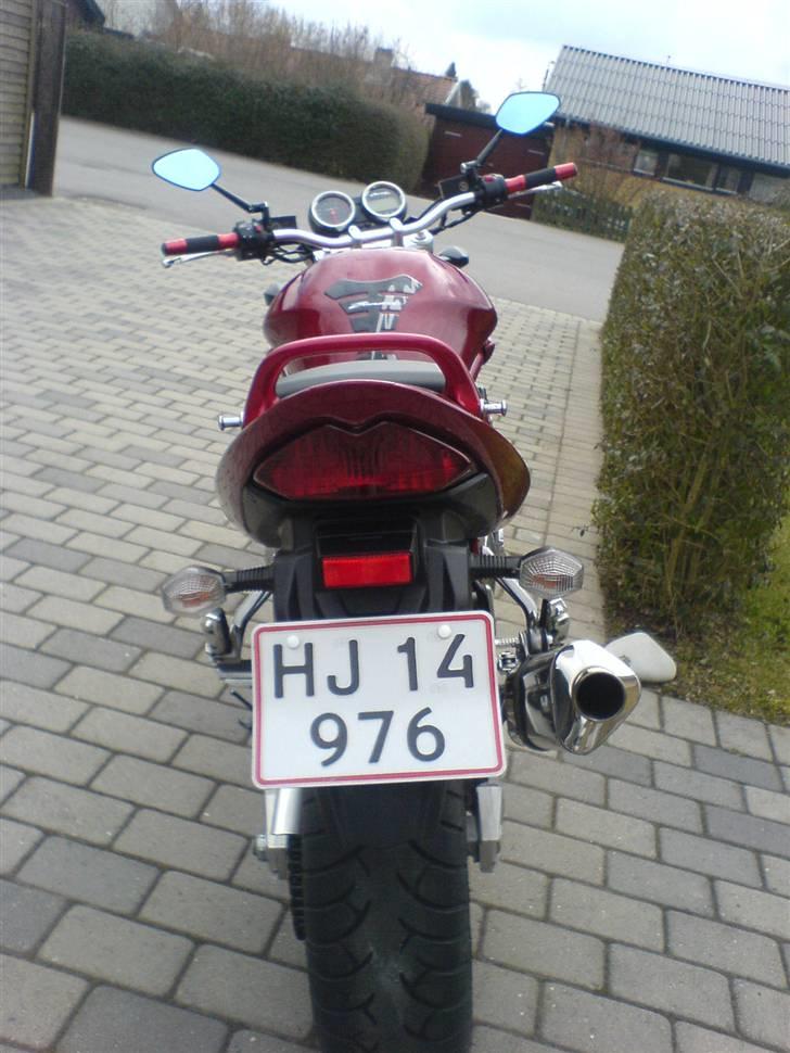 Suzuki GSF 1200 bandit "SOLGT" - De fleste ser den herfra.. billede 18