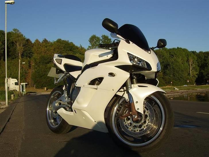 Honda CBR1000RR Fireblade billede 1