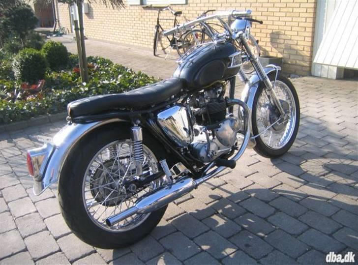 Triumph Tiger 100 - Mit dejlige dyr... billede 1