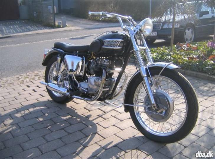 Triumph Tiger 100 - Næsten original pånær styr og sadel billede 2