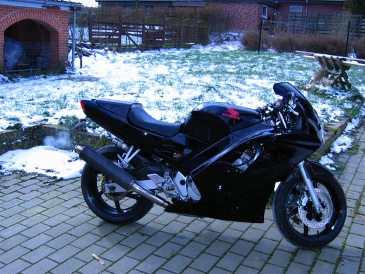 Honda CBR 600 billede 2