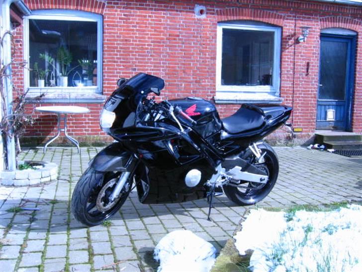 Honda CBR 600 billede 5