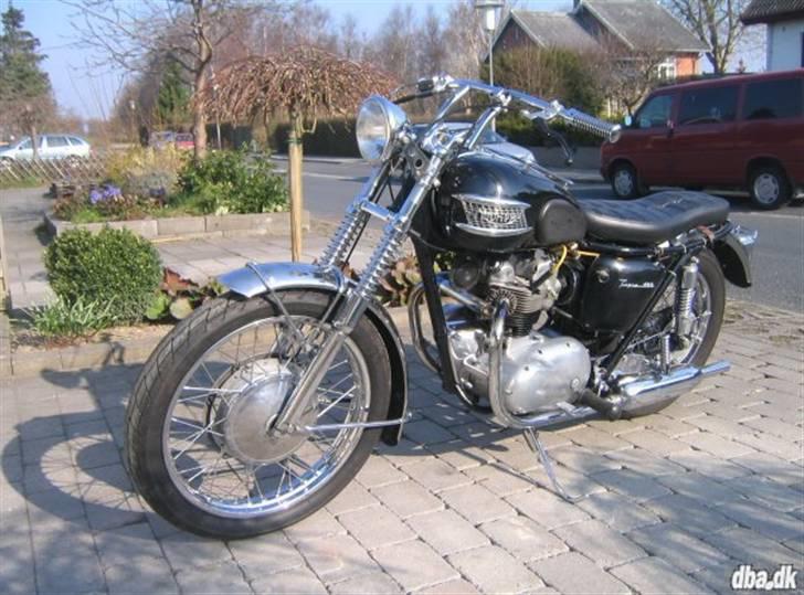 Triumph Tiger 100 - Masser af blankt chrom billede 3