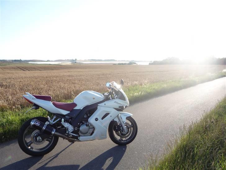 Suzuki SV650SA  **SOLGT** billede 2