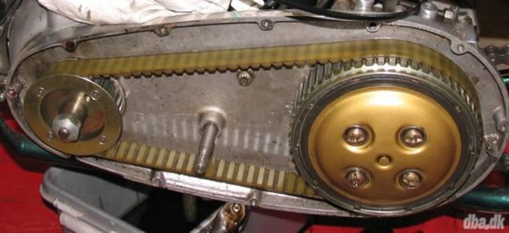 Triumph Tiger 100 - Bæltedrev af den gode kvalitet billede 5