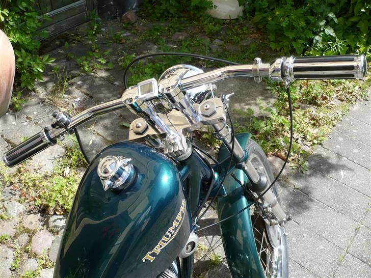 Triumph Tiger 100 billede 6