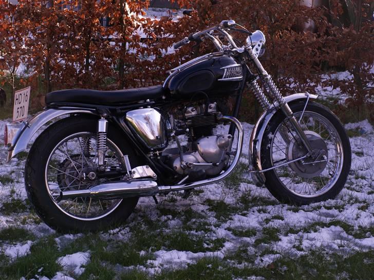 Triumph Tiger 100 billede 6