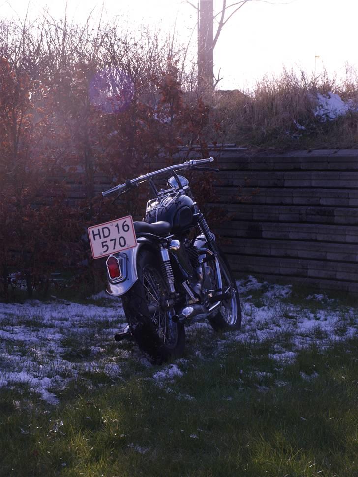 Triumph Tiger 100 billede 8