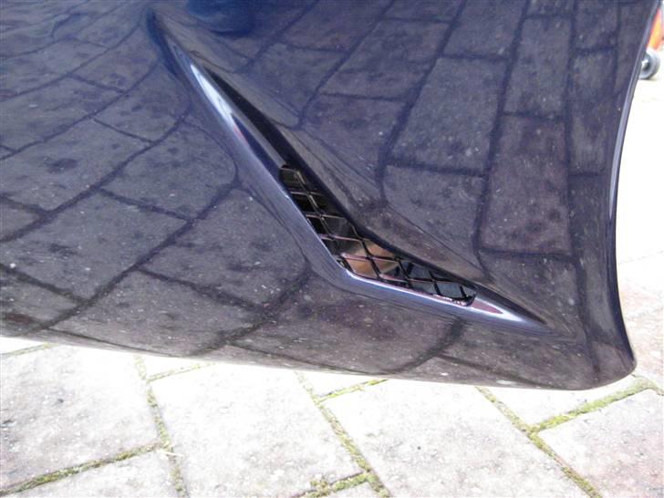 Suzuki SV1000s - net i underkåben billede 5