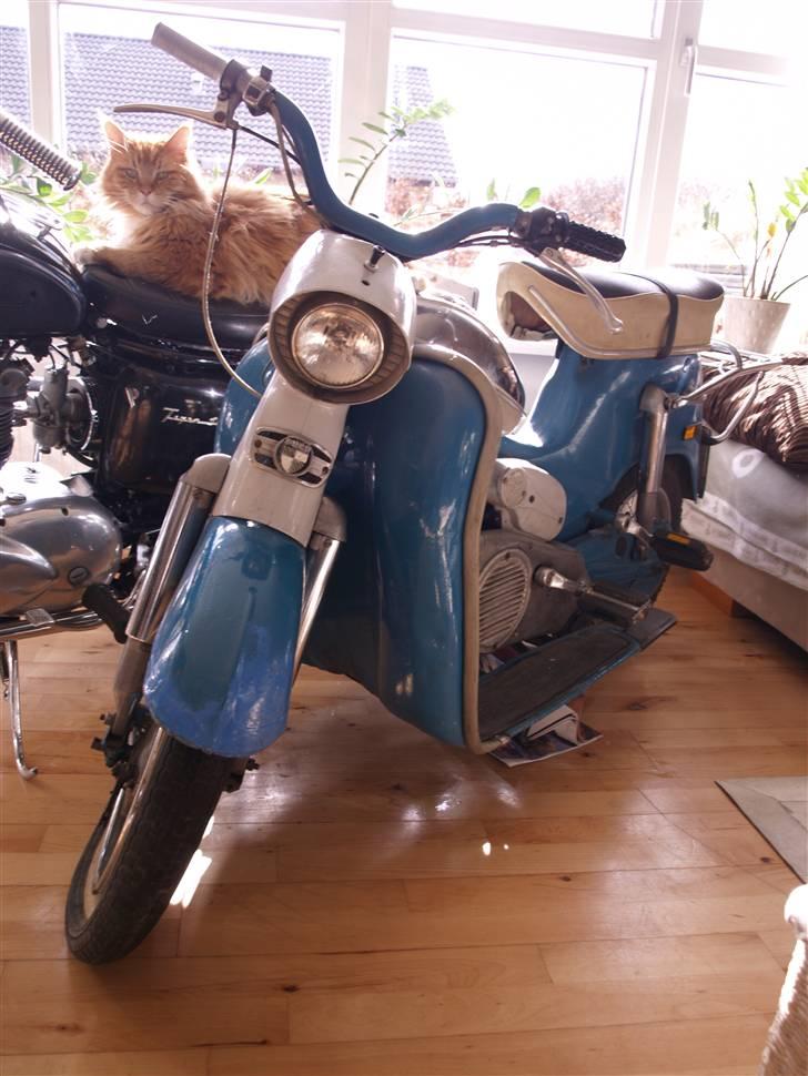 Triumph Tiger 100 - Moar´s PUCH darling fra årg 64..dahm god årgang  billede 12