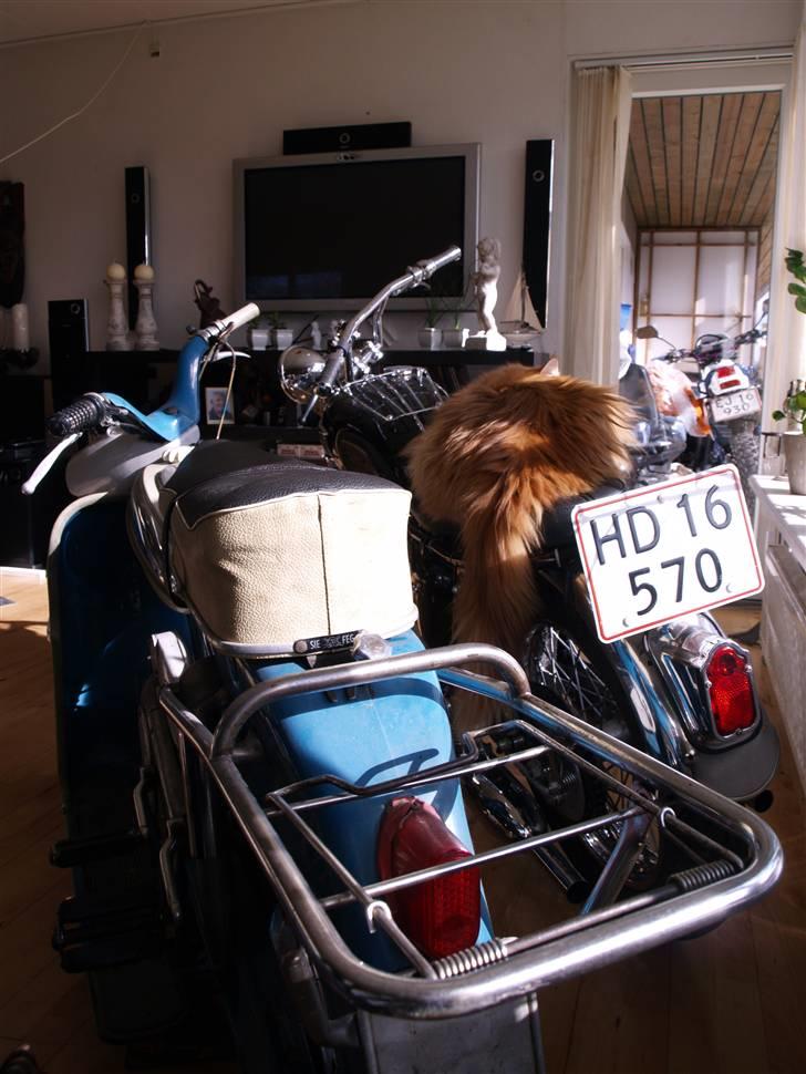 Triumph Tiger 100 - To smukke årgange set bagfra, samt en nymoderne udenfor billede 18