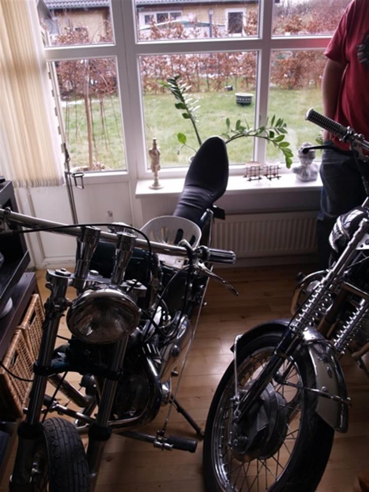 Triumph Tiger 100 - Tossede unger billede 7