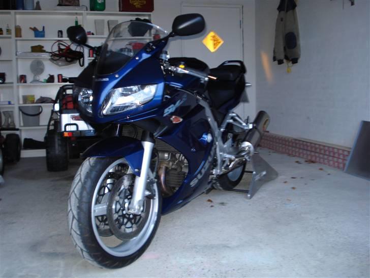 Suzuki sv1000 billede 9