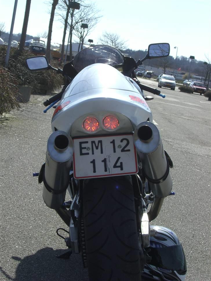 Suzuki TL1000R billede 5