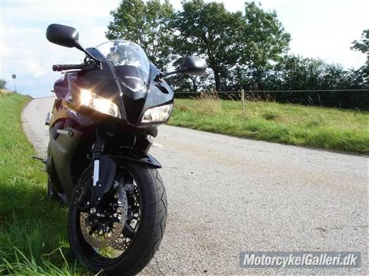 Honda CBR 600 RR billede 3