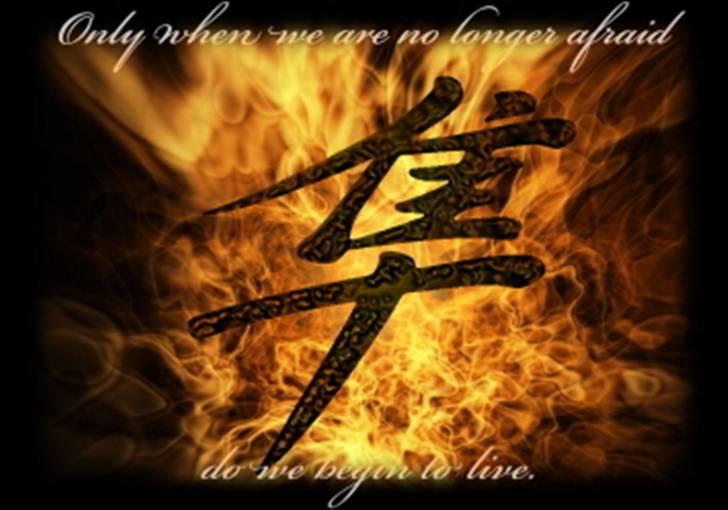 Suzuki Hayabusa Gsx1300R - "Only When We Are No Longer Afraid, Do We Begin To Live" billede 11