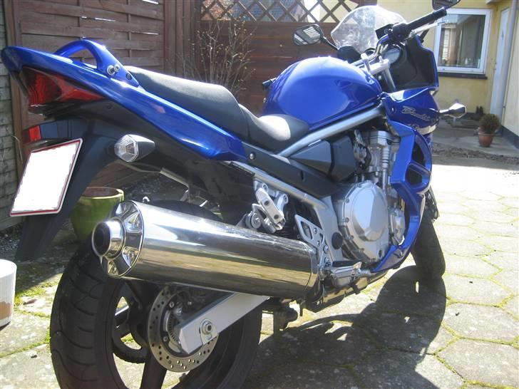 Suzuki GSF 650 sak7 Bandit billede 4