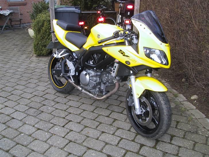 Suzuki SV 650S billede 5