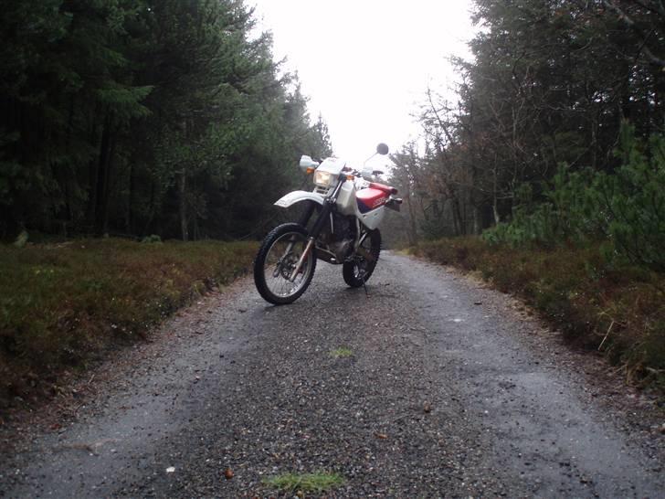 Honda xr 600r SOLGT!!!!! - Kratluskertur billede 3