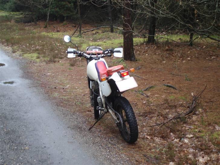 Honda xr 600r SOLGT!!!!! - Kratluskertur billede 4
