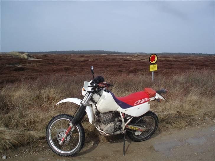 Honda xr 600r SOLGT!!!!! - Den jyske hede:-) billede 6