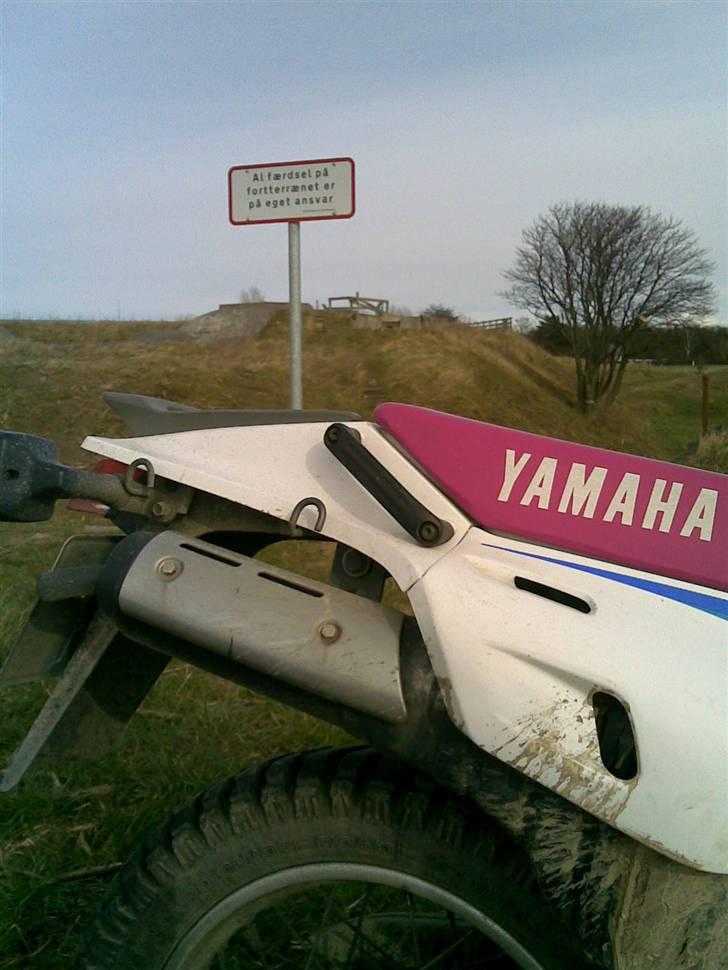 Yamaha XT600 (solgt) billede 16