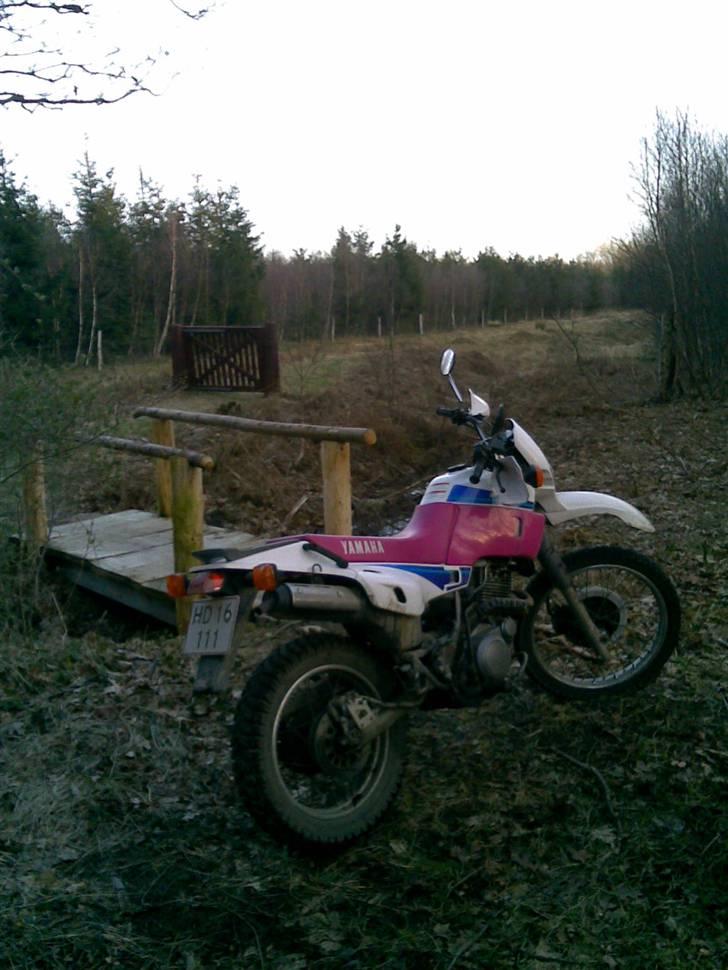 Yamaha XT600 (solgt) billede 18