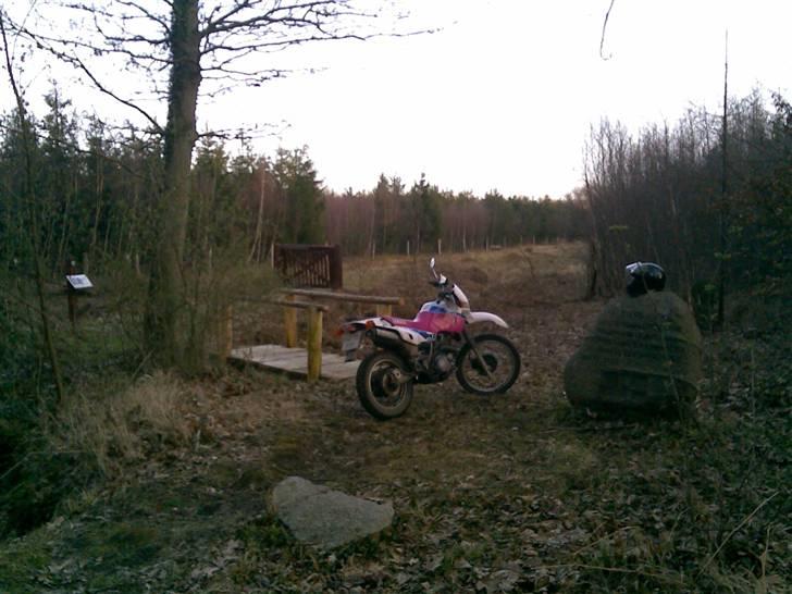 Yamaha XT600 (solgt) billede 19