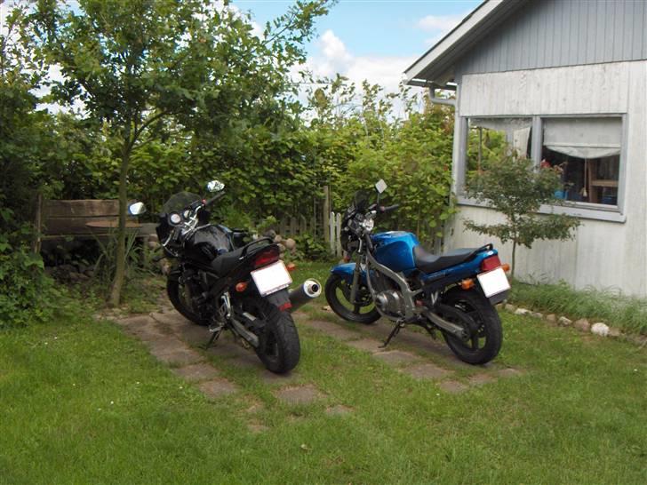 Suzuki GSF 650 S - Kæresten og min MC. billede 6