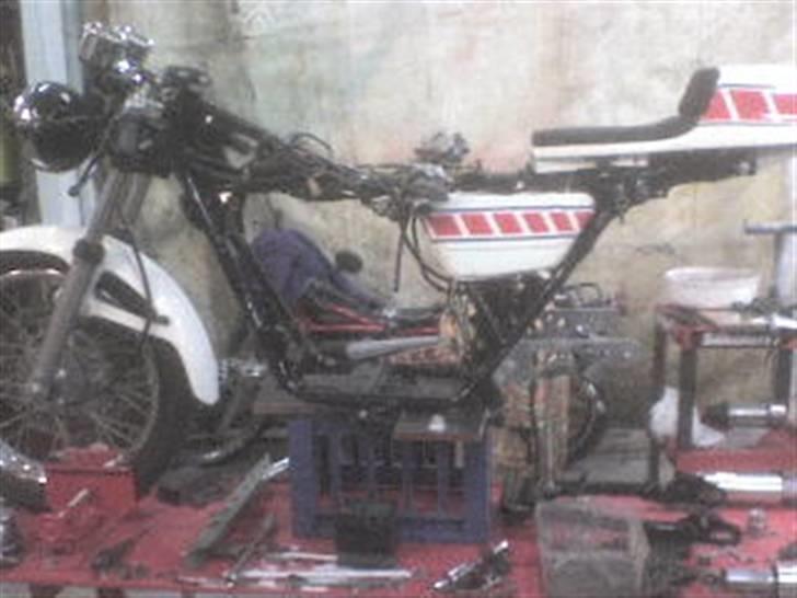 Yamaha TZ/RD billede 11